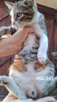 Bartho