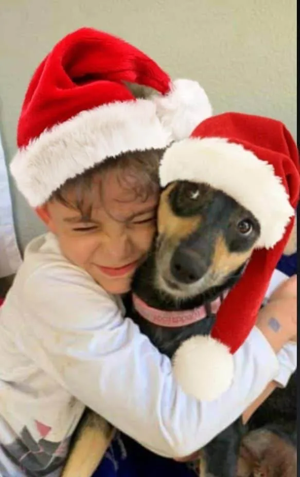 Cachorro ra a SRD-ViraLata idade 2 anos nome Naomi