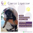 Clarice