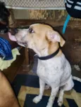 Simon bb10meses lindo