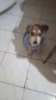 Nino bb5meses