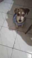 Nino bb5meses