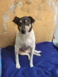Princesa