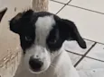 Bolão
