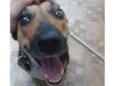 Athena