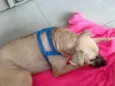 Andréa/Aline