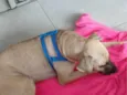Andréa/Aline