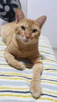 FRANCISCO