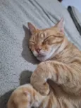 FRANCISCO
