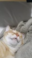 FRANCISCO