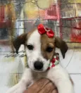 Nina