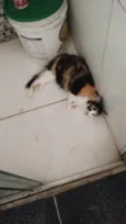zoe
