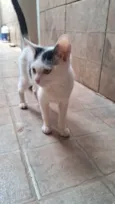 Mauricio