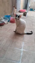 Mauricio
