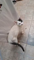 Fabricio
