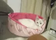 Marie