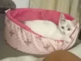 Marie