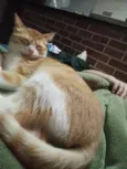 Mimi