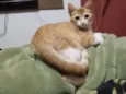 Mimi