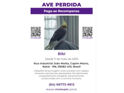 Cachorro raça SRD-ViraLata idade 1 ano nome Bibi - CALOPSITA