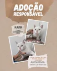 Kadu