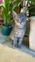 Mia
