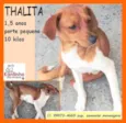 Thalita