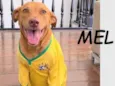 Mel