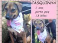 Casquinha