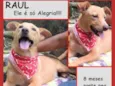 Raul