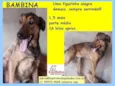 Bambina