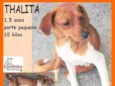 Thalita