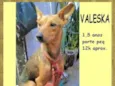 Valeska