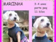 Marcinha