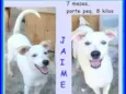 Jaime