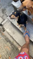 não tem nomes ainda