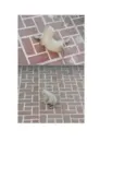 DOAÇÃO DE FILHOTINHOS DE GATO