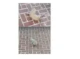 DOAÇÃO DE FILHOTINHOS DE GATO