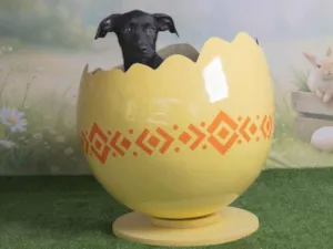 Cachorro raça SRD-ViraLata idade 2 a 6 meses nome Christian 