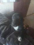 Fred