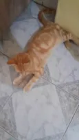 Matildo
