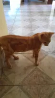 Matildo