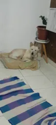 Revo