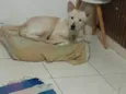 Revo