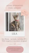 Lila