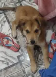 Paçoca