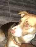 Maicon