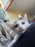 Zoe