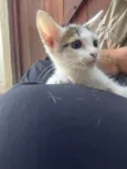 Zoe