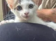 Zoe